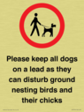 please-keep-all-dogs-on-a-lead-as-they-can-disturb-ground-nesting-birds-and-thei~